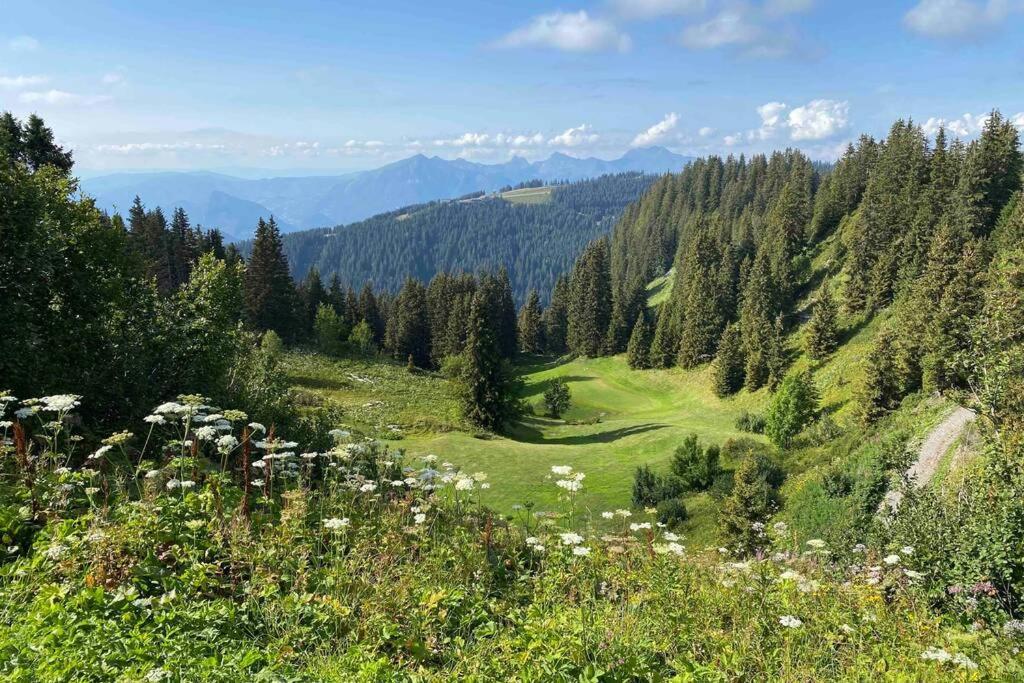 Vue panoramique sur les montagnes plein Sud - T2 Skis aux pieds, Piscine, Jacuzzi Flaine Extérieur photo